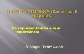 Os representantes e sua importância Biologia- Profº Adair.
