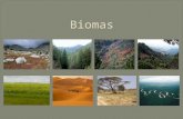 Biomas Biomas.. A tundra é uma planície gelada. No inverno o sol não passa do horizonte e a temperatura desce, costuma sempre estar abaixo dos 30 ª C.