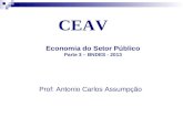 Economia do Setor Público Parte 3 – BNDES - 2013 CEAV Prof: Antonio Carlos Assumpção.