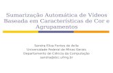 Sumarização Automática de Vídeos Baseada em Características de Cor e Agrupamentos Sandra Eliza Fontes de Avila Universidade Federal de Minas Gerais Departamento.