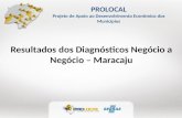 PROLOCAL Projeto de Apoio ao Desenvolvimento Econômico dos Municípios Resultados dos Diagnósticos Negócio a Negócio – Maracaju.