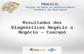 PROLOCAL Projeto de Apoio ao Desenvolvimento Econômico dos Municípios Resultados dos Diagnósticos Negócio a Negócio – Caarapó.