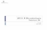 UPCII M Microbiologia Teórica 28 2º Ano 2013/2014.