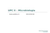 UPC II – Microbiologia Aula prática 4 Maria José Correia 7/10/2013 2013/20134.