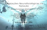 Adaptações Neurofisiológicas na Natação Neurophysioloigic Adaptations in Swimming Artigo Original Pós graduação Lato-Sensu em Natação e Hidroginástica.
