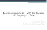 Metaprogramação – API Reflection da linguagem Java Paulo Eduardo Papotti Prof. Dr. Antonio Francisco do Prado.