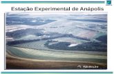 Estação Experimental de Anápolis. Fazenda Petrópolis Área Total - 345 hectares Reserva Permanente - 75 ha Produção de Sementes – 100 ha Pesquisa Fruticultura.