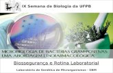 Microbiologia de Bactérias Gram-positivas: Uma Abordagem Etnofarmacológica IX Semana de Biologia da UFPB Laboratório de Genética de Microrganismos - DBM.