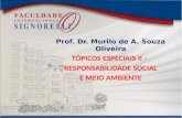 Prof. Dr. Murilo de A. Souza Oliveira TÓPICOS ESPECIAIS II – RESPONSABILIDADE SOCIAL E MEIO AMBIENTE.