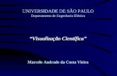 Visualização Científica UNIVERSIDADE DE SÃO PAULO Departamento de Engenharia Elétrica Visualização Científica Marcelo Andrade da Costa Vieira.