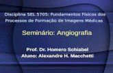 Disciplina SEL 5705: Fundamentos Físicos dos Processos de Formação de Imagens Médicas Prof. Dr. Homero Schiabel Aluno: Alexandre H. Macchetti Seminário: