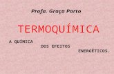 TERMOQUÍMICA A QUÍMICA DOS EFEITOS ENERGÉTICOS. Profa. Graça Porto.