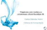 Tópicos em redes e sistemas distribuídos B Carlos Oberdan Rolim Ciência da Computação.