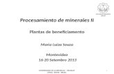 Procesamiento de minerales II Plantas de beneficiamento Maria Luiza Souza Montevideo 16-20 Setembro 2013 1 UNIVERSIDADE DE LA REPUBLICA – URUGUAY UFRGS.
