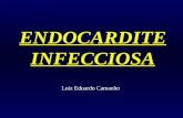 ENDOCARDITE INFECCIOSA Luiz Eduardo Camanho. Endocardite Infecciosa Sítio inicial: endotélio (valvar/ prótese cardíaca/ artéria: endarterite/ coarctação.