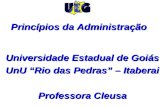 Princípios da Administração Universidade Estadual de Goiás UnU Rio das Pedras – Itaberai Professora Cleusa.