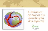 A Tectónica de Placas e a distribuição das espécies Prof. Ana Rita Rainho.