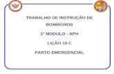 TRABALHO DE INSTRUÇÃO DE BOMBEIROS 1º MODULO - APH LIÇÃO 10 C PARTO EMERGENCIAL.