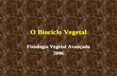 O Biociclo Vegetal Fisiologia Vegetal Avançada 2006.