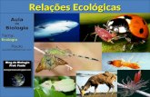 Aula de Biologia Tema: Ecologia Paulo paulobhz@hotmail.com Relações Ecológicas.
