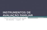 INSTRUMENTOS DE AVALIAÇÃO FAMILIAR Curso introdutório de saúde da família – Cajati - SP.