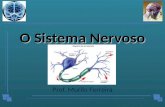 O Sistema Nervoso Prof. Murilo Ferreira. FUNÇÕES: Receptora – Impulsos nervosos Associação - Interpretação Emissão – Ordens a centros nervosos Armazenamento.