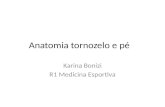 Anatomia tornozelo e pé Karina Bonizi R1 Medicina Esportiva.