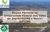 Ensino Florestal na Universidade Federal dos Vales do Jequitinhonha e Mucuri (UFVJM) Profa. Gleyce Campos Dutra.