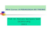 Mini Curso: A PEDAGOGIA DO TREINO Prof. Dr. Renato Sampaio Sadi DCEFS-UFSJ 2013.