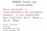 AM020-Temas de atualidade Para entender o funcionamento da economia humana: o uso combinado das análises de K. Marx e de H. Odum Prof. Enrique Ortega DEA/FEA/Unicamp.