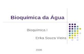 Bioquímica da Água Bioquímica I 2006 Erika Souza Vieira.