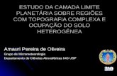 ESTUDO DA CAMADA LIMITE PLANETÁRIA SOBRE REGIÕES COM TOPOGRAFIA COMPLEXA E OCUPAÇÃO DO SOLO HETEROGÊNEA Amauri Pereira de Oliveira Grupo de Micrometeorologia.