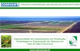 1  Oportunidade de Investimento em Produção, Embalagem e Exportação de Abacaxi no Vale do São Francisco PROJETO INTEGRADO DE NEGÓCIOS.