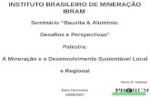 Belo Horizonte 28/08/2007 INSTITUTO BRASILEIRO DE MINERAÇÃO IBRAM Seminário Bauxita & Alumínio: Desafios e Perspectivas Palestra: A Mineração e o Desenvolvimento.