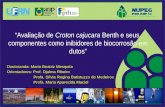 Avaliação de Croton cajucara Benth e seus componentes como inibidores de biocorrosão em dutos Doutoranda: Maria Beatriz Mesquita Orientadores: Prof. Djalma.