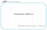 Universidade Federal Fluminense Integração Numérica.