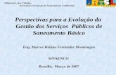 Ministério das Cidades Secretaria Nacional de Saneamento Ambiental Perspectivas para a Evolução da Gestão dos Serviços Públicos de Saneamento Básico Eng.