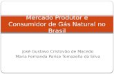 José Gustavo Cristovão de Macedo Maria Fernanda Parise Tomazella da Silva Mercado Produtor e Consumidor de Gás Natural no Brasil.