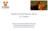 Gerência de Projetos de TI 6. Custos Adriano Graziosi & Márcio Moreira marcio.moreira@pitagoras.com.br