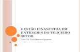 GESTÃO FINANCEIRA EM ENTIDADES DO TERCEIRO SETOR Prof. Dr. Luiz Renato Ignarra.