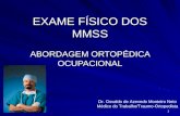 1 EXAME FÍSICO DOS MMSS ABORDAGEM ORTOPÉDICA OCUPACIONAL Dr. Osvaldo de Azevedo Monteiro Neto Médico do Trabalho/Traumo-Ortopedista.