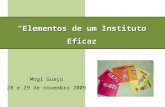 Elementos de um Instituto Eficaz Mogi Guaçu 28 e 29 de novembro 2009.