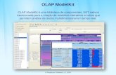 OLAP ModelKit OLAP ModelKit é uma biblioteca de componentes.NET nativos intencionada para a criação de relatórios interativos e cubos que permitem análise.