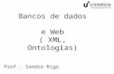Bancos de dados e Web ( XML, Ontologias) Prof.: Sandro Rigo.