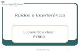 Araucaria DX Group1 Ruídos e Interferência Luciano Scandelari PY5KD.