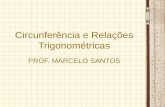 Circunferência e Relações Trigonométricas PROF. MARCELO SANTOS.