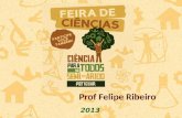 2013 Prof Felipe Ribeiro. Como preencher o formulário de elaboração de projetos?