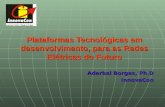 Plataformas Tecnológicas em desenvolvimento, para as Redes Elétricas do Futuro Aderbal Borges, Ph.D InnovaCon.