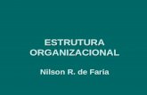 ESTRUTURA ORGANIZACIONAL Nilson R. de Faria. CONCEITOS ESTRUTURA ORGANIZACIONAL Representação gráfica ou descritiva das áreas que compõem a organização,