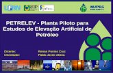 Dicente: Renan Pontes Cruz Orientador: Pablo Javier Alsina PETRELEV - Planta Piloto para Estudos de Elevação Artificial de Petróleo.